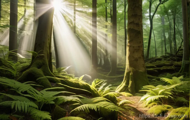 숲 테라피와 자연 관찰의 중요성 - Image Prompt 1: Serene Forest Immersion (Shinrin-yoku)**