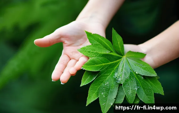 Sylvothérapie : 7 façons étonnantes de réguler vos émotions 4 숲 테라피의 감정 조절 기법 관련 이미지 2