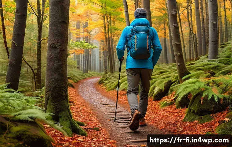 10 indispensables pour une séance de sylvothérapie réussie à ne pas oublier 4 숲 테라피를 위한 준비물 리스트 관련 이미지 2