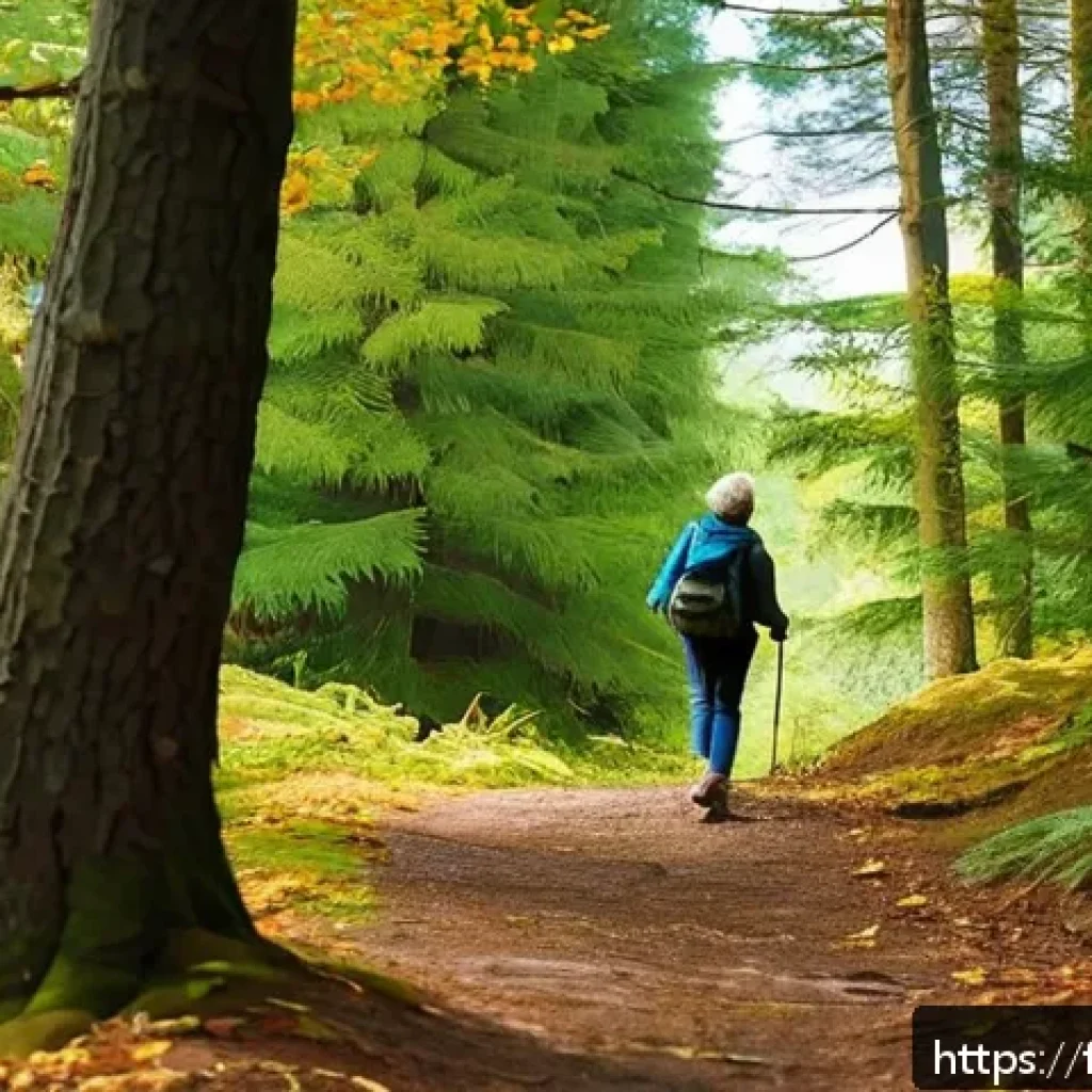 숲 테라피의 꿈과 비전 설정 - A serene forest scene in early autumn, featuring a middle-aged French woman walking mindfully along ...