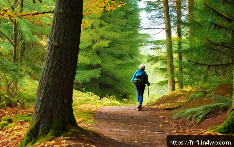 숲 테라피의 꿈과 비전 설정 - A serene forest scene in early autumn, featuring a middle-aged French woman walking mindfully along ...