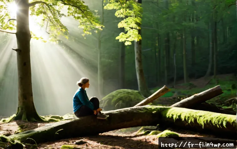 숲 테라피와 자아 성찰 - Photorealistic early morning forest therapy scene in a tranquil French beech and oak woodland, a mid...