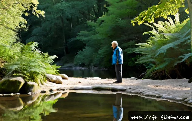 Sylvothérapie et introspection : choisir entre sortie libre, accompagnement guidé et séjour nature 2 숲 테라피와 자아 성찰 관련 이미지 1